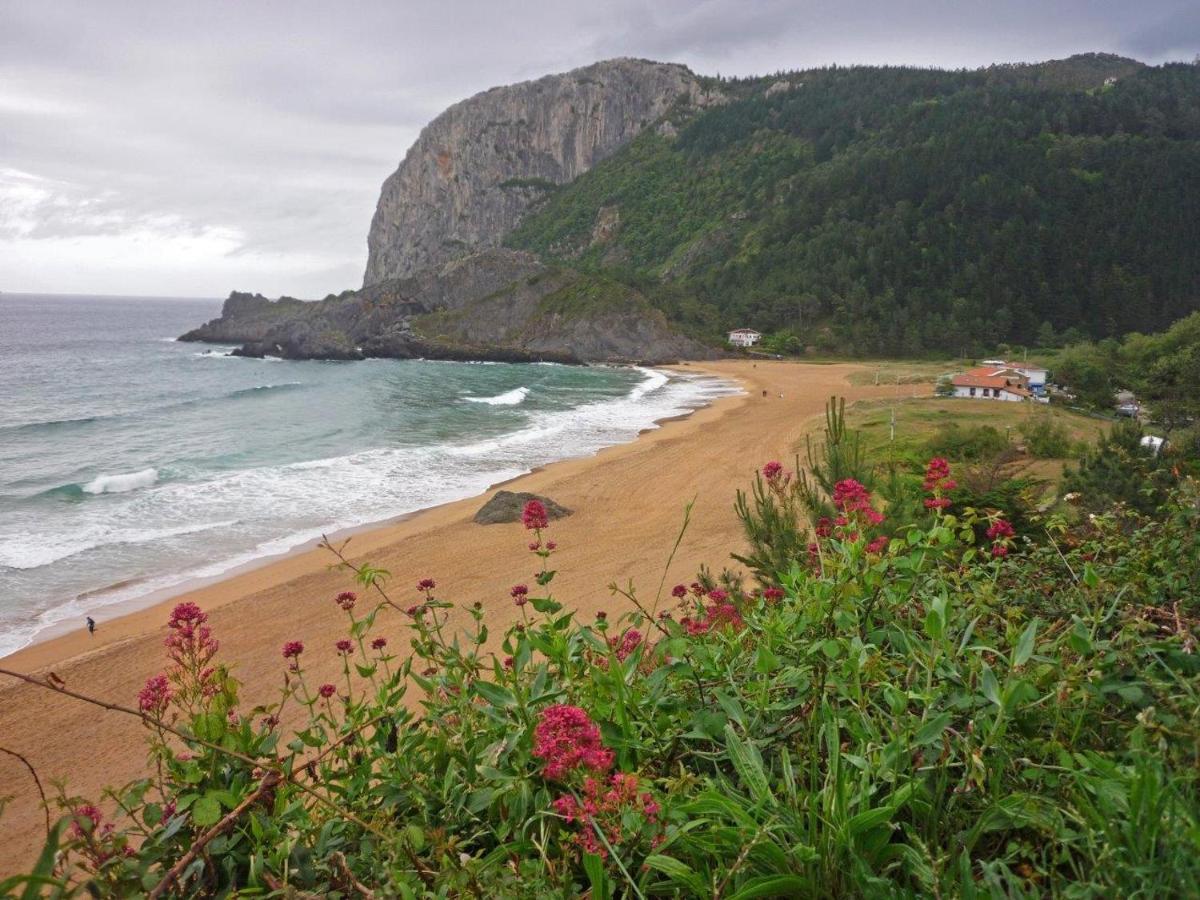 Gernika Urdaibai 아파트 외부 사진